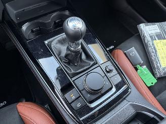 Mazda CX-30 2.5 e -SkyActive-G M Hybrid Nagisa-LEDER-CAMERA-HUD-NAVI-PDC picture 23