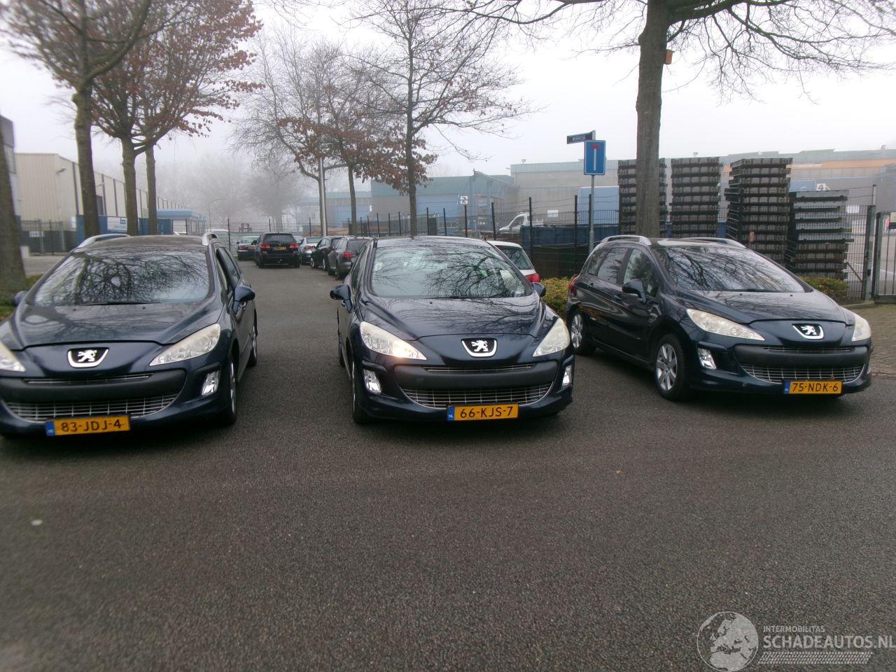 Peugeot 308 3X PEUGEOT 308