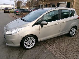 uszkodzony samochody osobowe Ford B-Max 1.0 TITANIUM CLIMA 2013/3