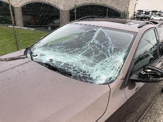 Skoda Octavia AMBITION 1.0 TSI picture 12