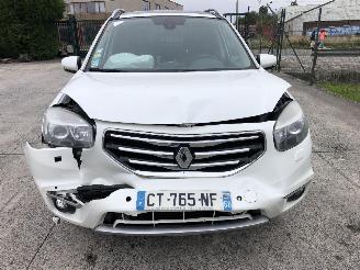 Renault Koleos 2.0 DCI  BOSE picture 5