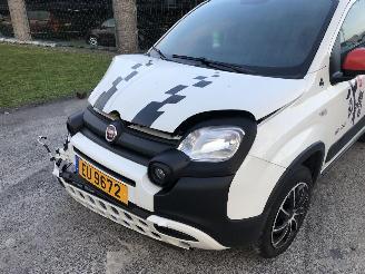 Fiat Panda 1.0 HYBRIDE picture 12
