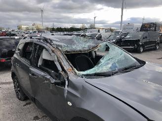 Nissan Qashqai+2 1.6 DCI picture 8