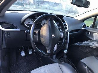Peugeot 207 1.6 16V picture 5