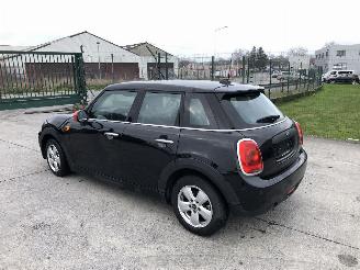 Mini One 1.5 D picture 3