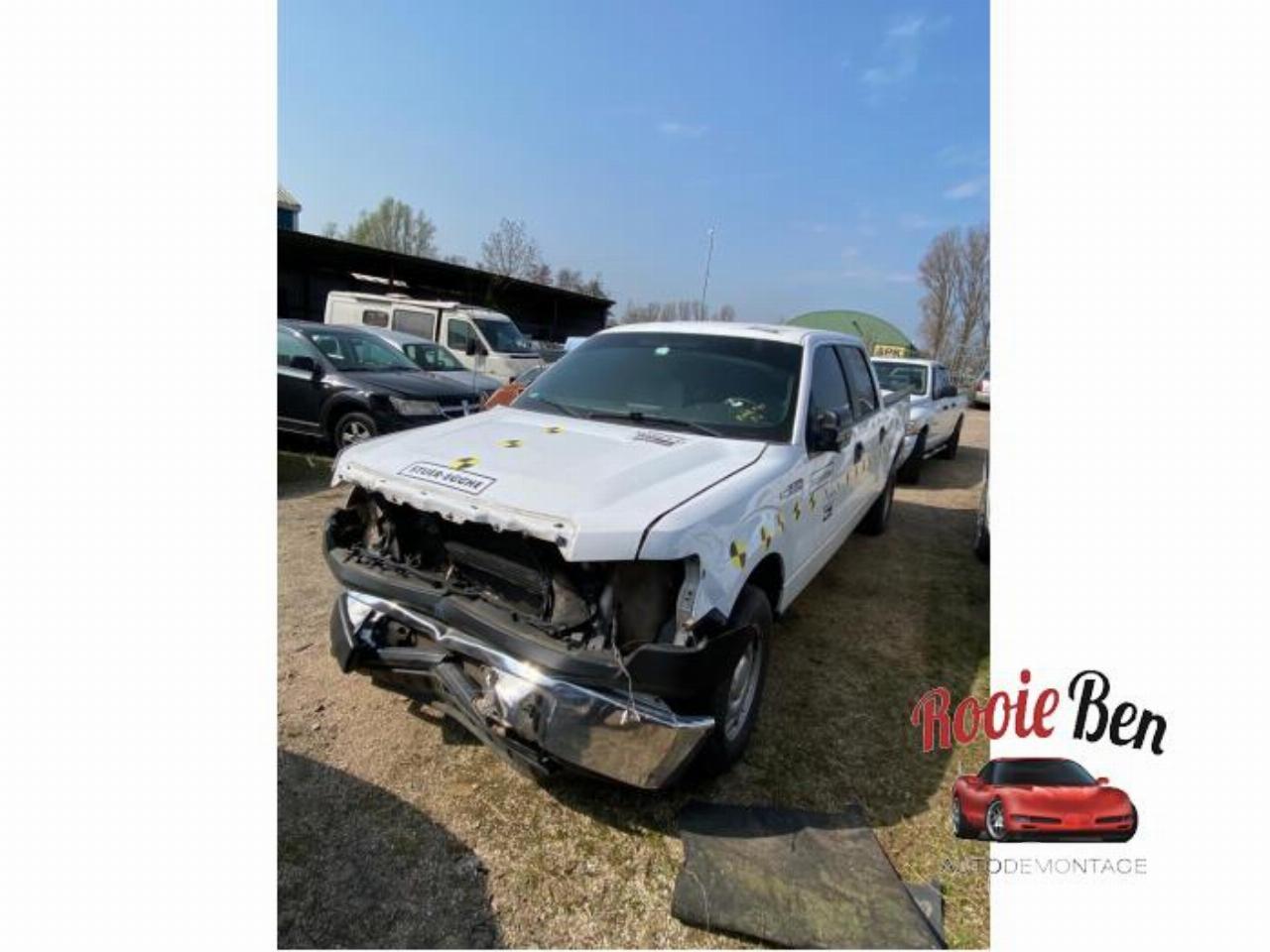 Ford USA F-150 F-150 Standard Cab, Pick-up, 2014 5.0 Crew Cab