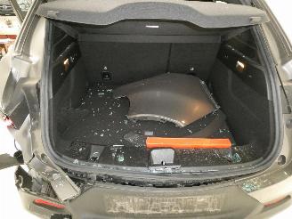 Alfa Romeo Tonale 1.6D picture 17