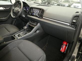 Skoda Karoq SELECTION picture 15