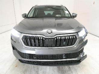 Skoda Karoq SELECTION picture 2