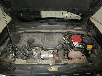 Jeep Renegade  picture 23