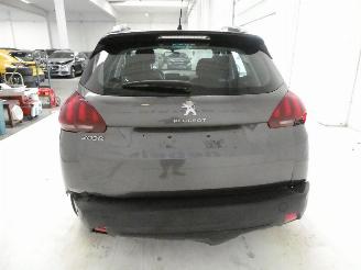 Peugeot 2008 ACTIVE picture 5