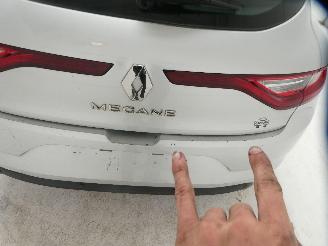 Renault Mégane IV ZEN picture 10