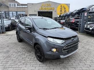 uszkodzony samochody osobowe Ford EcoSport 1.0 2017/5