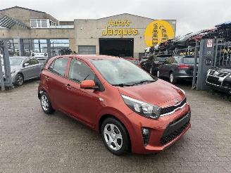 Auto incidentate Kia Picanto 1.0I 2019/5