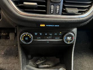 Ford Fiesta ACTIVE CROSSOVER picture 16