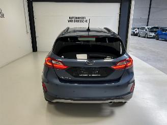 Ford Fiesta ACTIVE CROSSOVER picture 6