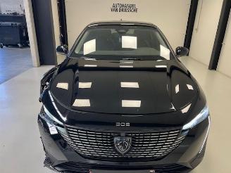 Peugeot 308 PLUGIN/ALLURE picture 8