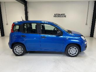 Fiat Panda  picture 2