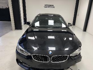 BMW 4-serie LUXURY LINE picture 10