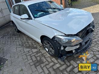 BMW 1-serie F20 114i N13 picture 2