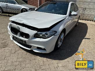 Uttjänta bilar auto BMW  F10 518D Alpinewiess 3 2014/1