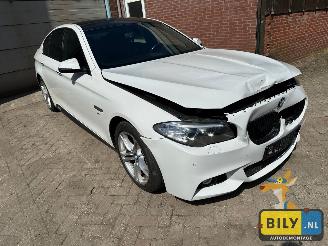 BMW  F10 518D Alpinewiess 3 picture 2