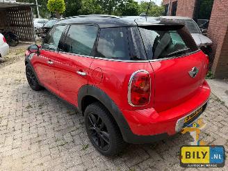 Mini Countryman  picture 4