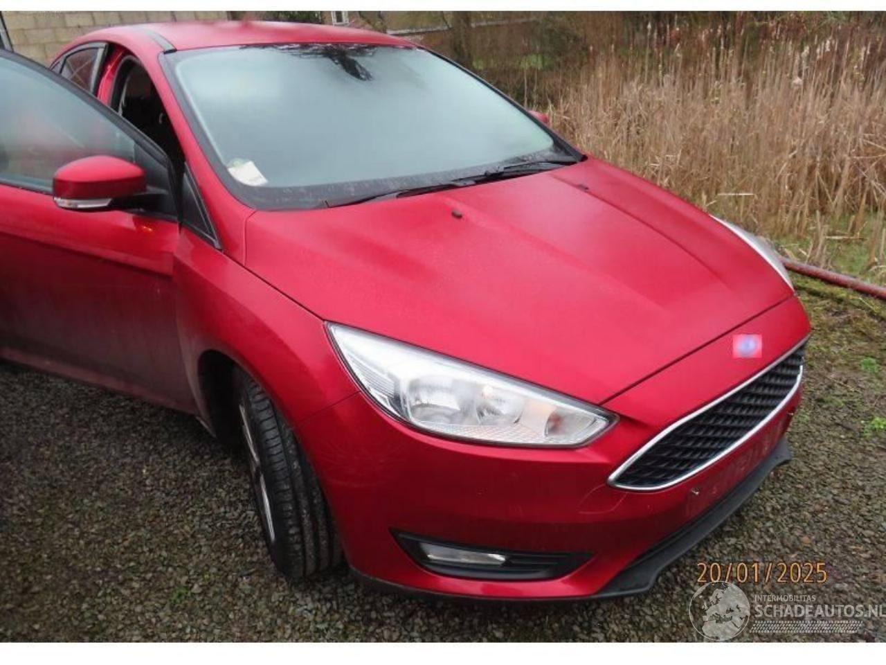 Ford Focus TREND