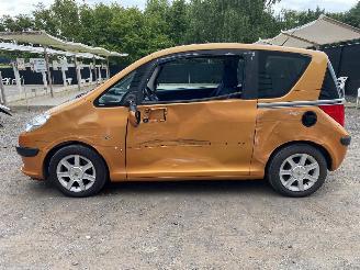 Peugeot 1007 DOLCE picture 11