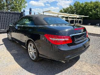Mercedes E-klasse E 250 CDI BLUE EFFIC picture 12