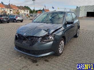 damaged passenger cars Skoda Fabia  2019/12