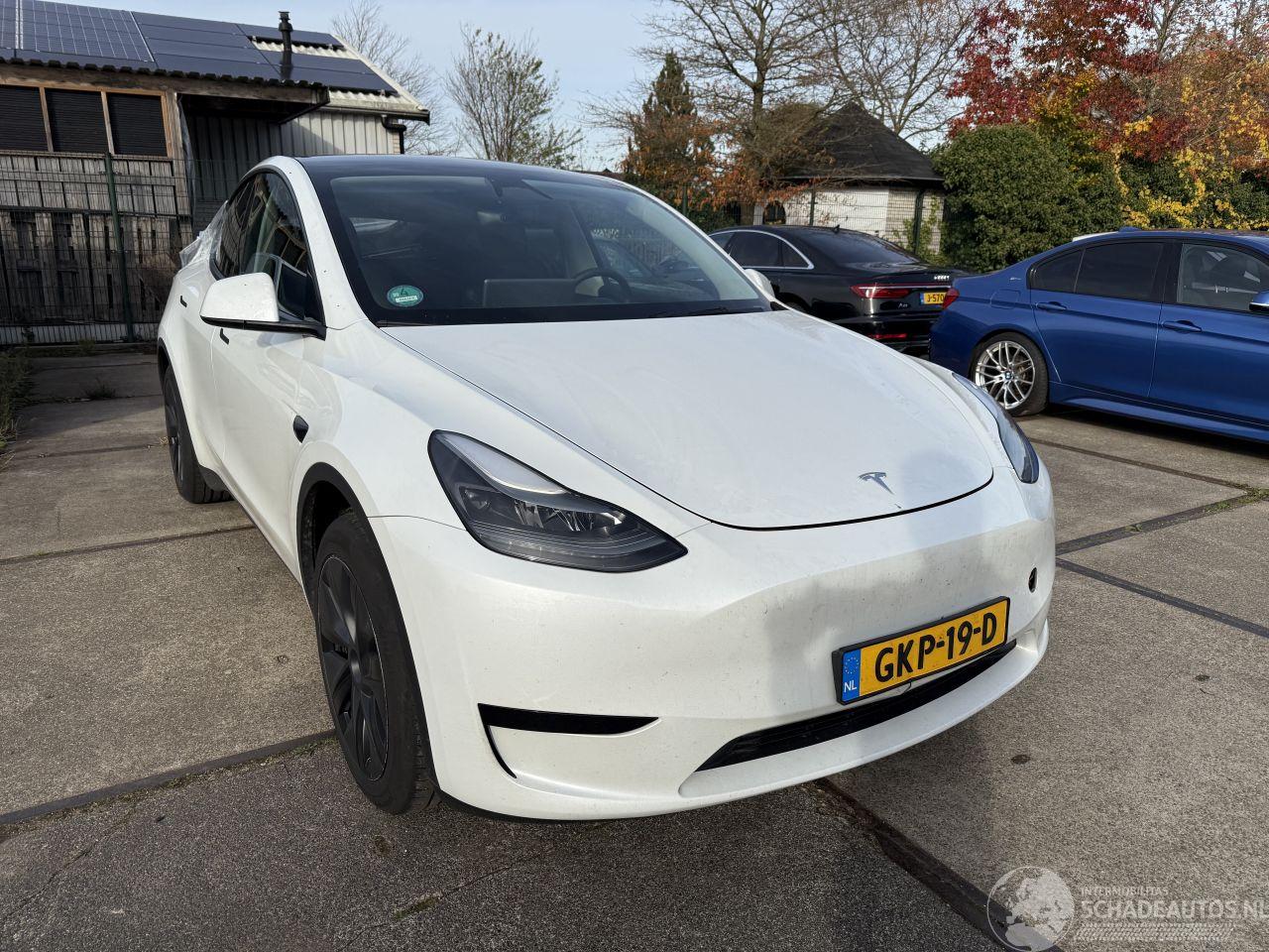 Tesla Model Y Long Range RWD 75kWh