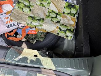 Dacia Sandero STEPWAY FACELIFT EXTREEM CLIMA CAMERA LED PDC CRUISE B.J 2024 picture 17