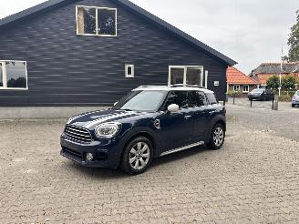Damaged car Mini Countryman 1.5 EDITION NAVI CLIMA CAMERA LED KEYLESS B.J 2019 2019/7