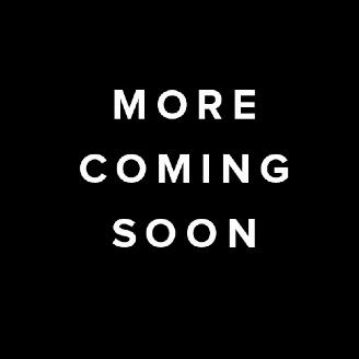 Vaurioauto  passenger cars Seat Arona TSI STYLE 110 PK NAVI CLIMA CAMERA LED PDC B.J 2024 2024/2