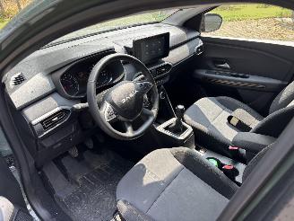 Dacia Sandero STEPWAY EXTREEM NAVI CLIMA CAMERA LED B.J 2024 FACELIFT picture 8