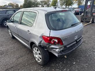 Peugeot 307  picture 7