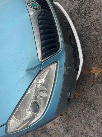 Skoda Roomster  picture 10