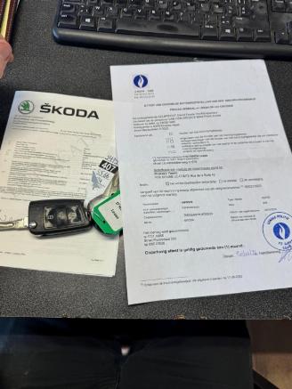 Skoda Rapid  picture 1