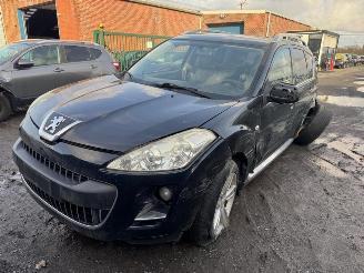 Peugeot 4007 PLATINUM picture 37