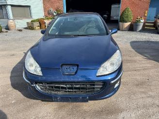 Peugeot 407  picture 13