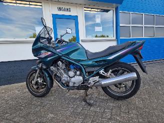 Yamaha  DIVERSION 900 picture 9