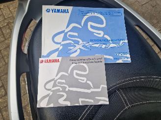 Yamaha  X CITY 250 picture 6