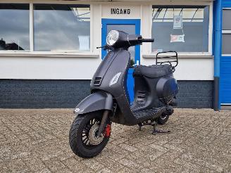 GTS  DJJD CASHMERE picture 11