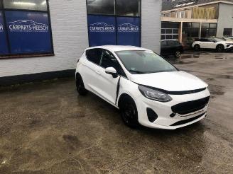 Ford Fiesta Fiesta 7, Hatchback, 2017 1.0 EcoBoost Active 12V Hybrid 125 picture 2