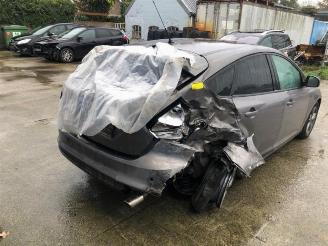 Ford Focus Focus 3, Hatchback, 2010 / 2020 1.6 EcoBoost 16V picture 6