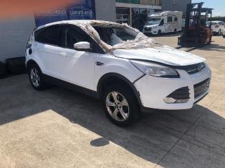 Ford Kuga Kuga II (DM2), SUV, 2012 1.6 EcoBoost 16V 4x4 picture 2