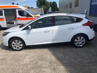 Ford Focus  picture 4