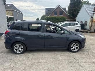 Ford Grand C-Max  picture 4