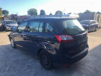 Ford Grand C-Max Grand C-Max (DXA), MPV, 2010 / 2019 1.0 Ti-VCT EcoBoost 12V 100 picture 7